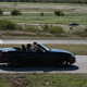 Illustration for article titled Miatas At A Race Track Multiply Worse Than Rabbits